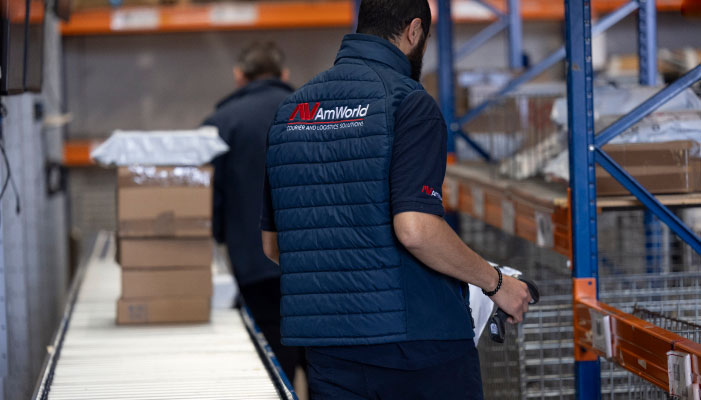 courier logistics solutions